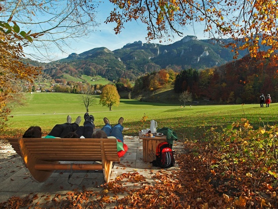 Bank Nr. 11 Aschauer Irxnschmoiz-Liege