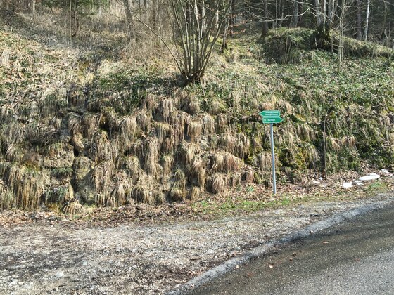 Abzweig zur Variante Haindorfer Berg
