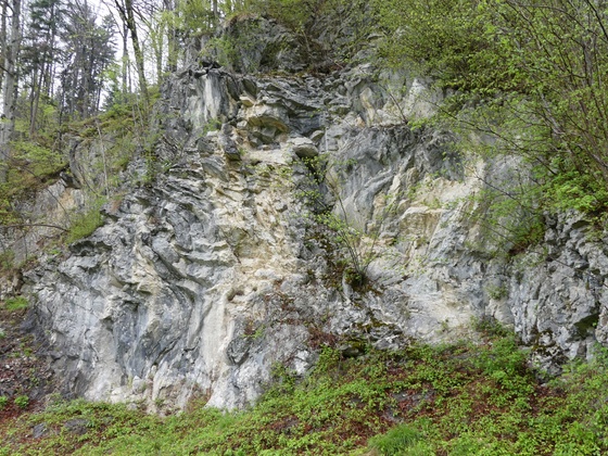 Alpiner Muschelkalk, verfaltet