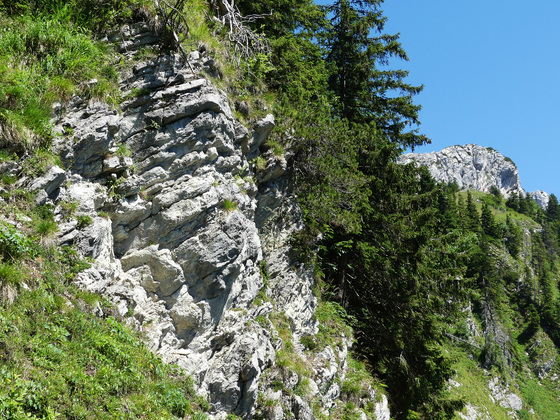 Dünnbankige Kalksteine des Alpinen Muschelkalks