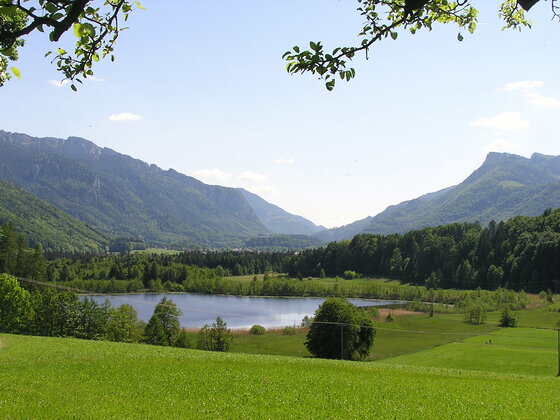 Blick auf den Bärnsee