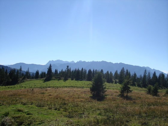 Panorama auf das Kaisergebirge