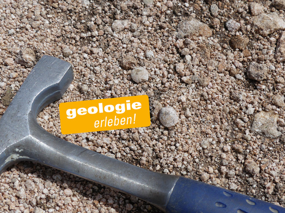 Brachiopoden und Seelilien-Stielglieder im Weg am Laubenstein