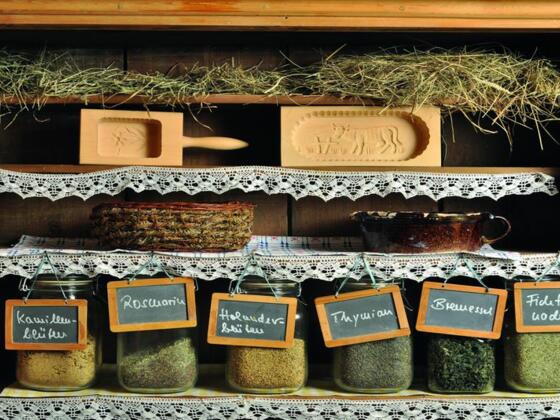 kuechenkraeuter-und-oele