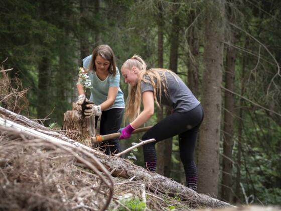 umweltbaustelle-jdav-silvanmetz