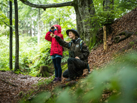 Naturpark Nagelfluhkette