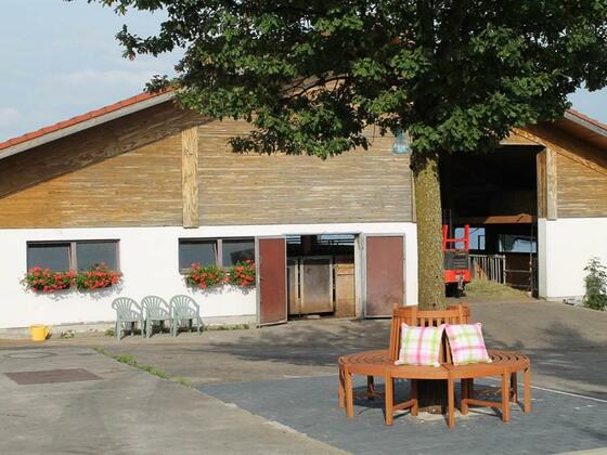 Auf der Baumbank vorm Kuhstall verweilen