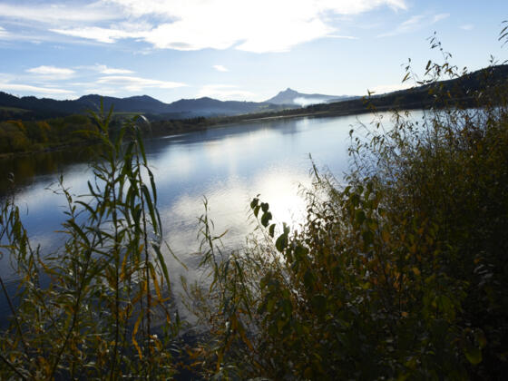 Blick auf Grüntensee