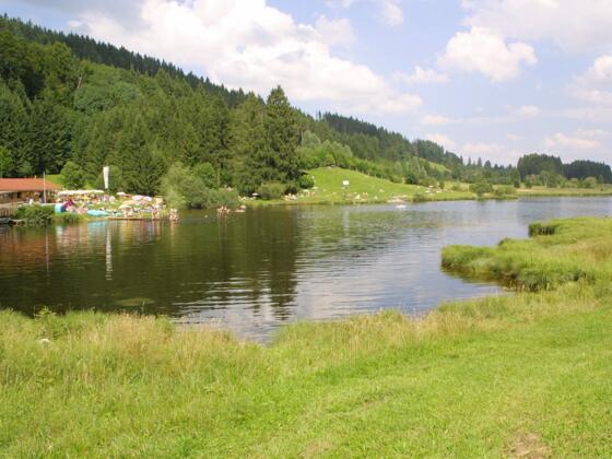 Schwarzenberger Weiher