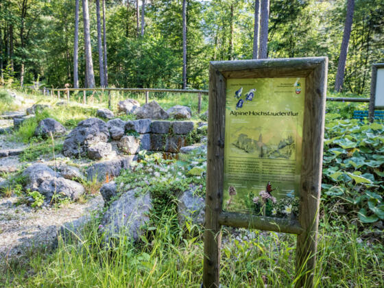 Bergkurgarten Bayerisch Gmain