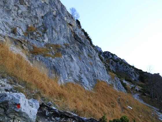 der Goldtropfsteig führt direkt unterhalb der Goldtropfwand durch die Streuwiese