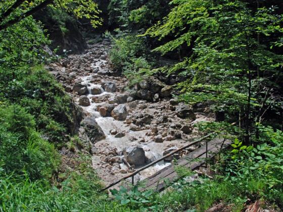 Auf dem Alpgartenrundweg