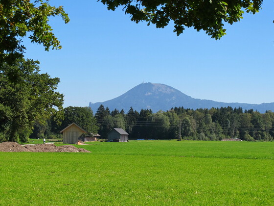 Richtung Gois mit Gaisberg