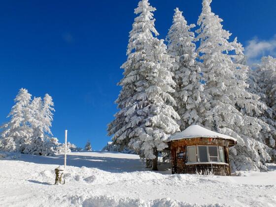 Reichenhaller Höhenkurweg Predigtstuhl © Erich Steindl