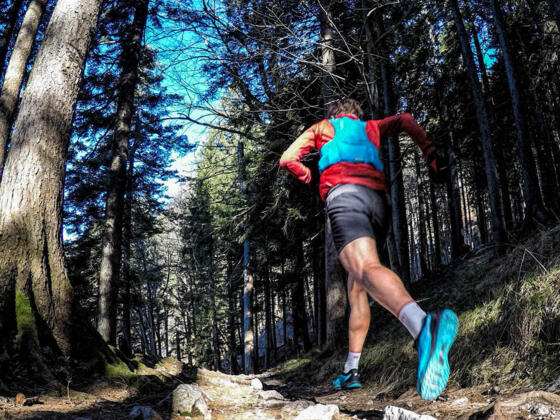 Laufen rund um Bad Reichenhall