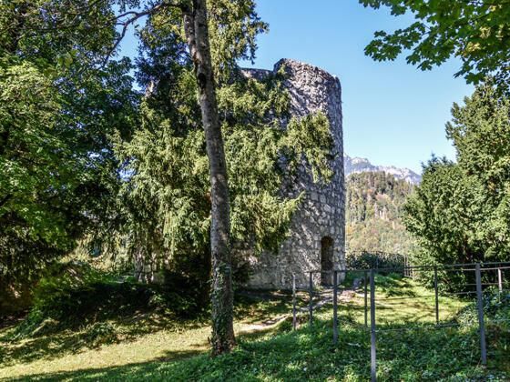 Die Burgruine Karlstein
