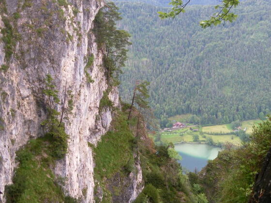 Thumsee