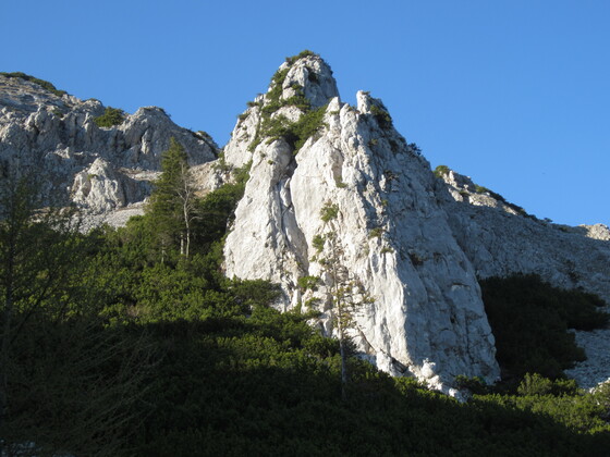 Alter Fritz - Klettergarten an der Barthlmahd Hochstaufen Südseite