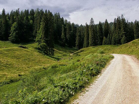 Auffahrt ins Lattengebirge
