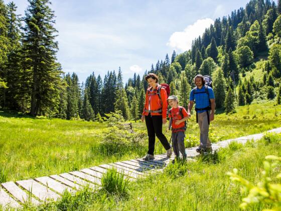 Wanderung durch das Hühnermoosmoor am Söllereck