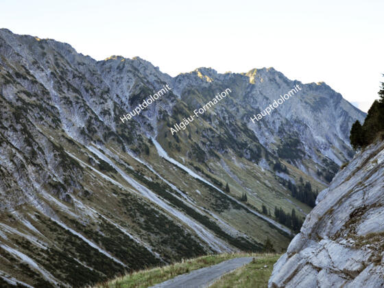 Schuppe von Allgäu-Formation zwischen Hauptdolomit