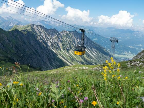 Sommerliche Nebelhornbahn