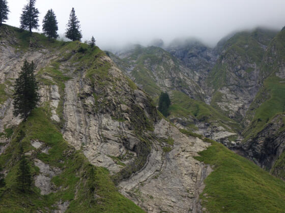 Verfaltete Allgäu-Formation an der Unteren Schneeflucht