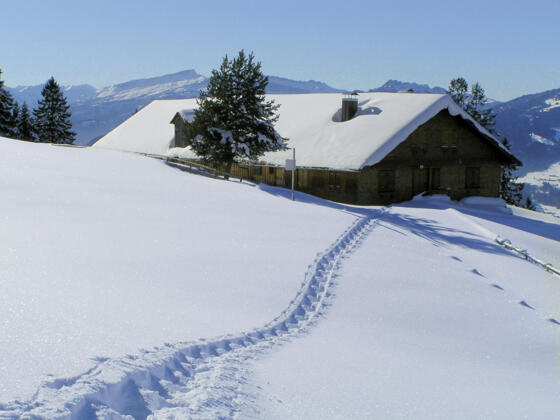 alpsee_gruenten_winterhuetten