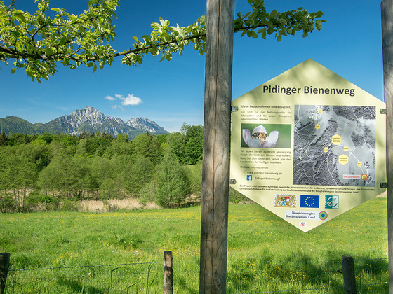 Der Pidinger Bienenweg