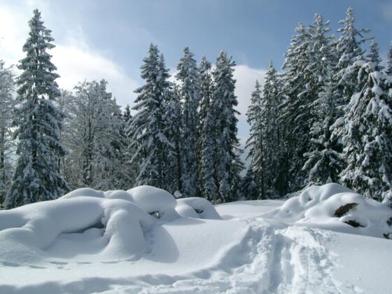 Winter in Bischofswiesen