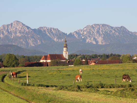 &quot;Klausweiweg&quot; mit herrlichem Bergpanorama auf Staufen und Zwiesel