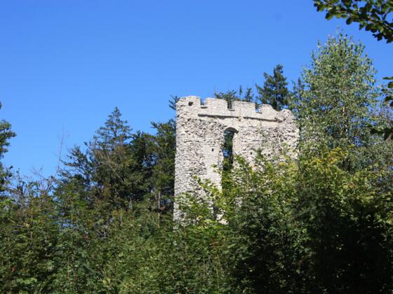 Ruine Thürndl