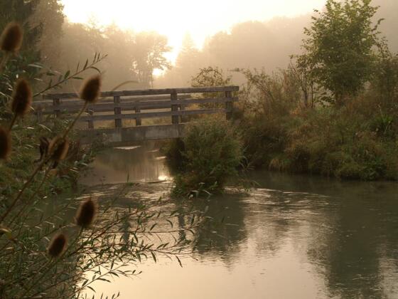 Herbststimmung am Mittergraben