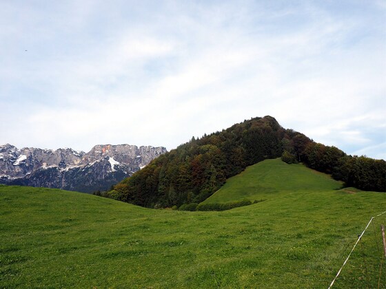Götschenkopf 930m mit Untersberg im Hintergrund
