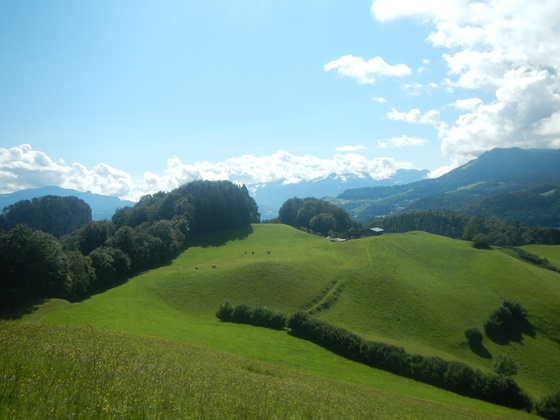 Herrliche Weide bei Marktschellenberg