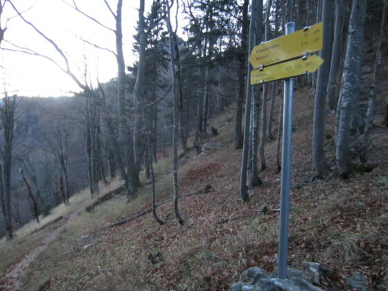 Rotofensattel - Wegweiser