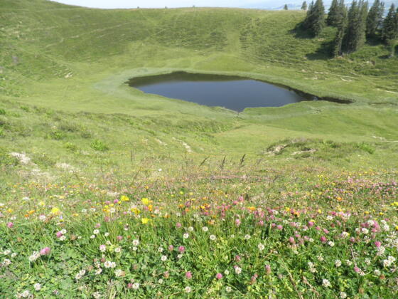 Blick vom Gipfel auf den Hörnlesee
