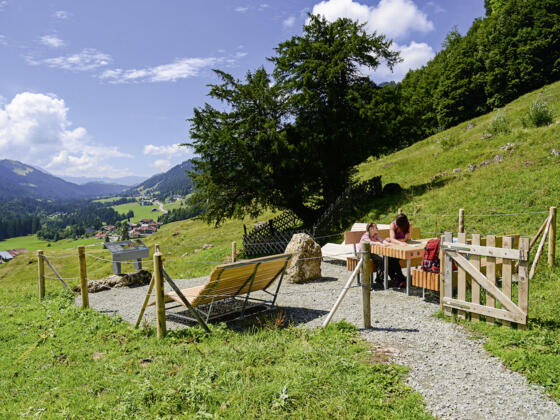 2000-jährige Eibe in Balderschwang