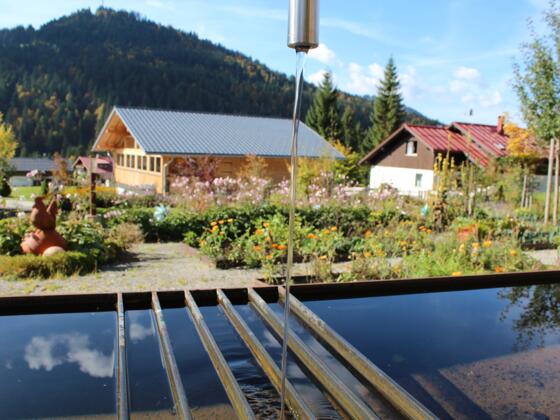 Kräutergarten in Balderschwang im Allgäu