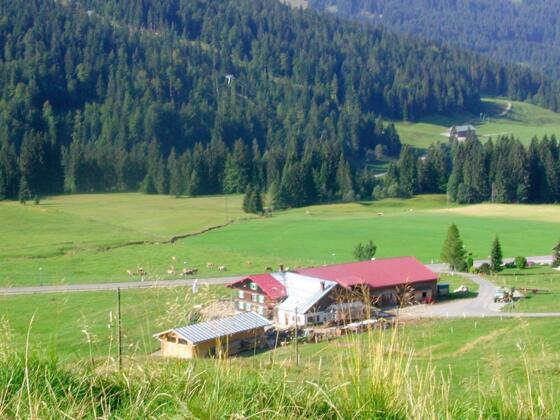 Alpe Unterbalderschwang