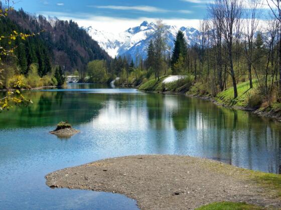 Auwaldsee im Frühling