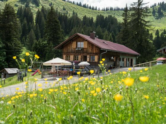 Die Alpe Bolgen im Bolgental bei Bolsterlang
