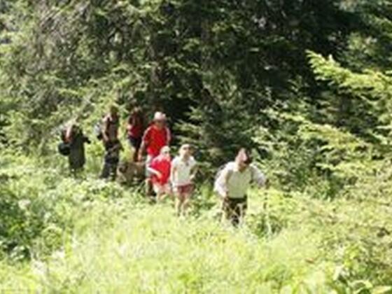 Wanderung für Einsteiger in FIschen im Allgäu