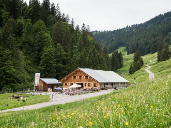 Die Alpe Zunkleiten im Bolgental bei Bolsterlang im Allgäu