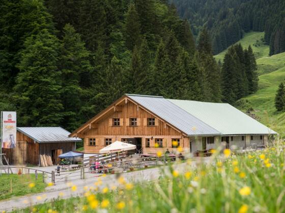 Die Alpe Zunkleiten im Bolgental bei Bolsterlang