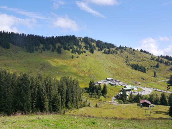 Blick auf den Bolgen