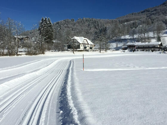 Langlauf am Königssee