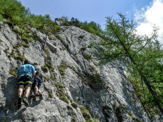 Schützensteig Jenner