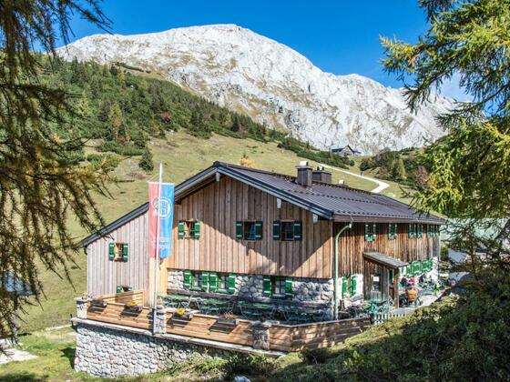 Radlweg zur Gotzenalm