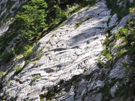 Karren auf Gletscherschliff